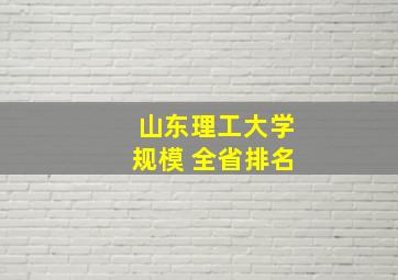 山东理工大学规模 全省排名